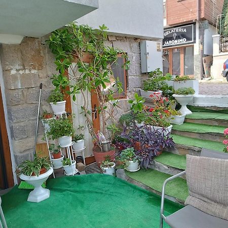 Farlalievi Guest House Sozopol Luaran gambar